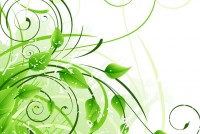 get-first-web-design-client