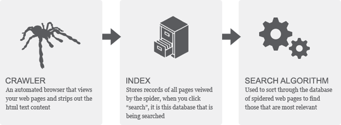 google crawl index search