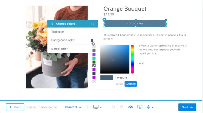 Example showing someone making changes to a variant of an ecommerce product using Crazy Egg.