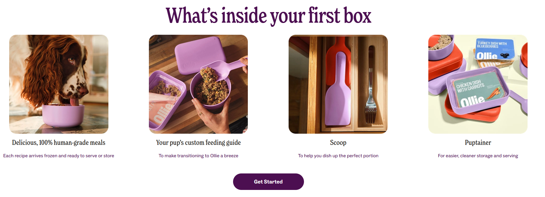E-commerce Landing Pages: 8 High-Converting Examples (and How to Build Your Own)