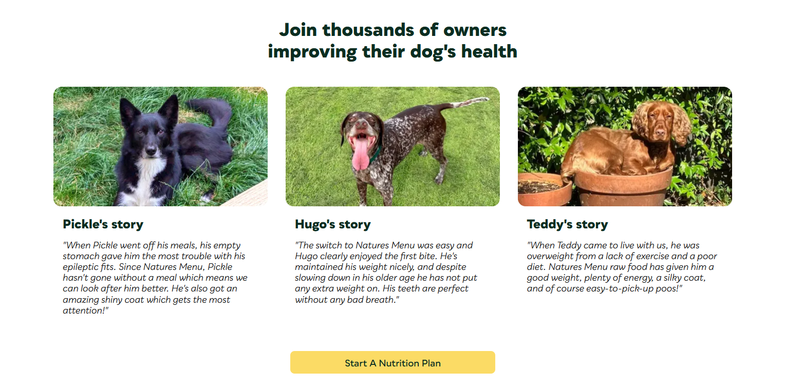E-commerce Landing Pages: 8 High-Converting Examples (and How to Build Your Own)