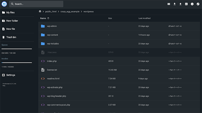 Hosting provider’s File Manager screen. 