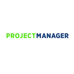 Project Manager
