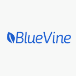 BlueVine logo