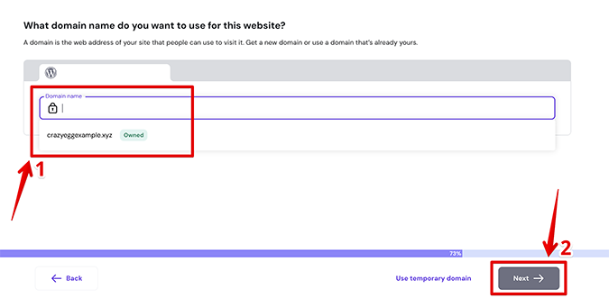 Form to select domain name with Hostinger. 