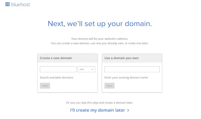 Bluehost's domain name setup page