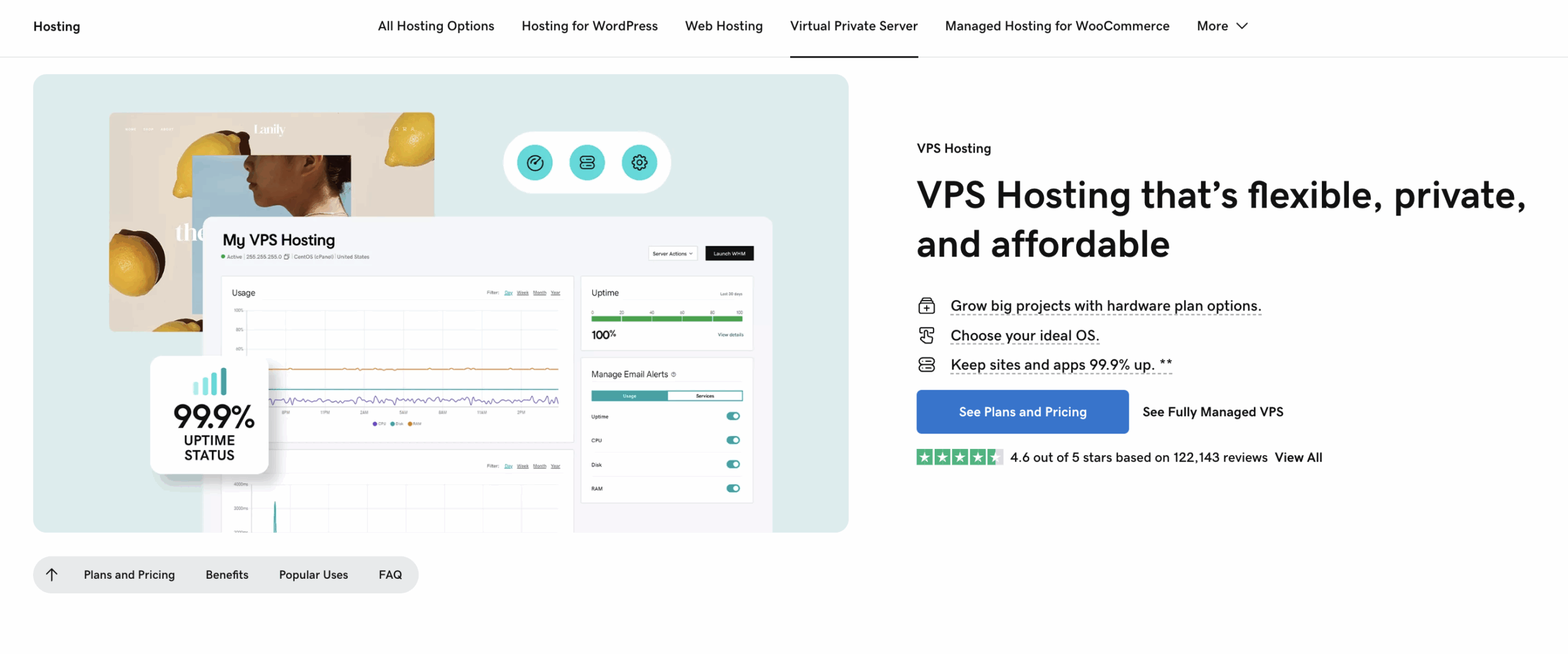 GoDaddy's VPS hosting is flexible, private, and affordable