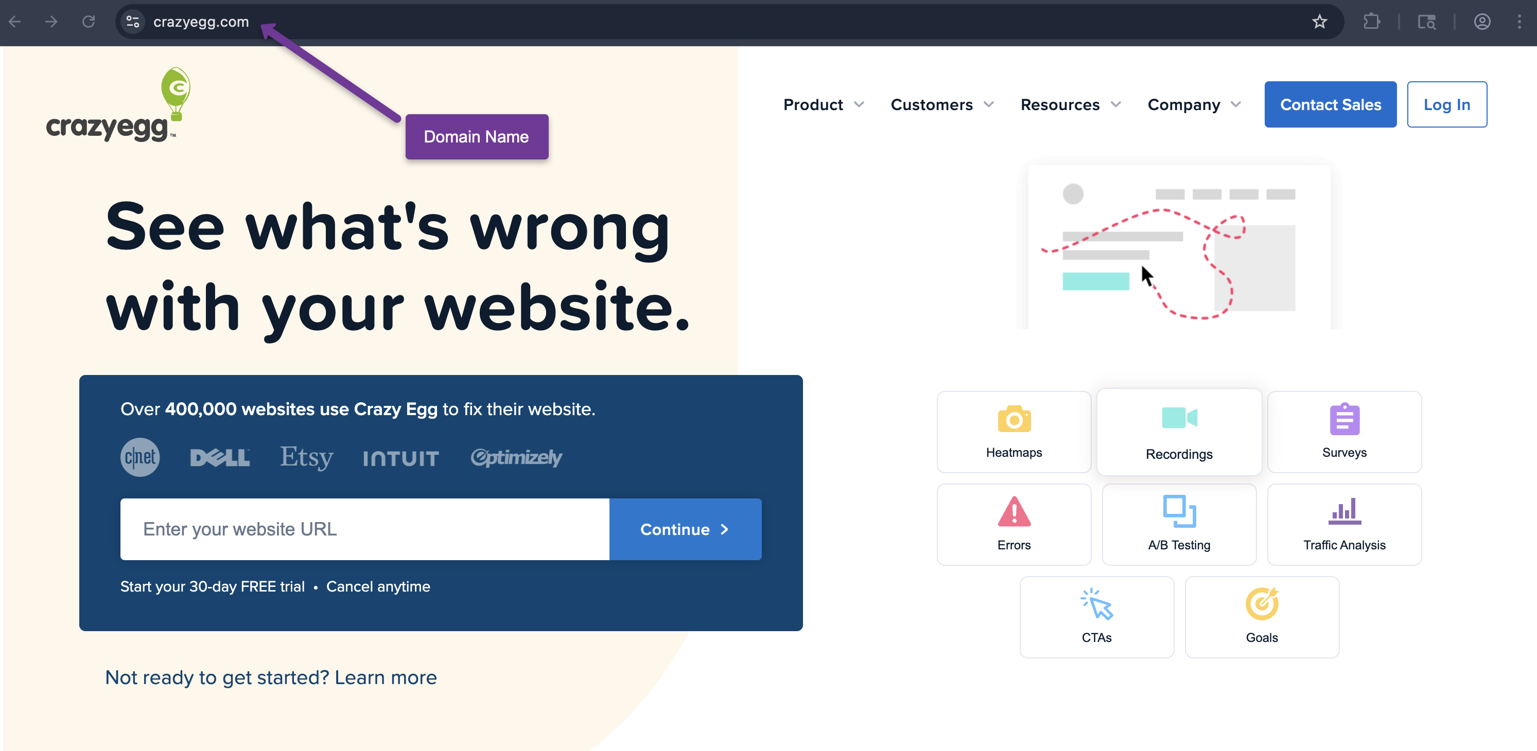 Crazy Egg homepage with a purple arrow highlighting the domain name.