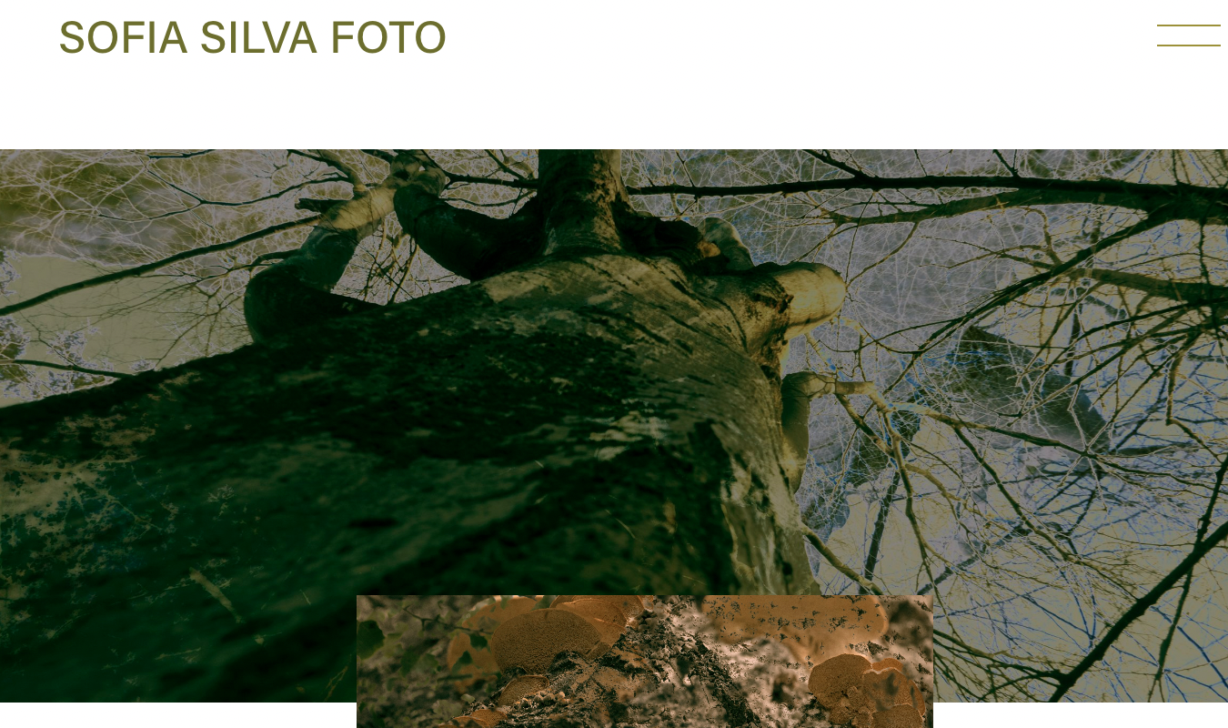 Sofia Silva's website homepage with a large image displayed of her work. 