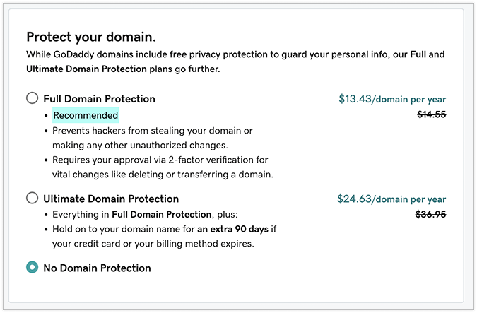 GoDaddy protect domain options 
