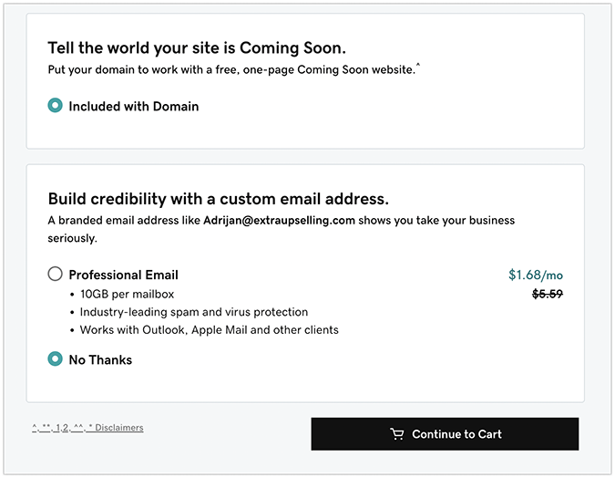 Domain checkout page options from GoDaddy. 
